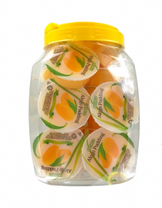 Gelée Pudding Nata Coco Aloe Vera Mangue 1,28kg (16 x 80g)/Boite